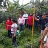 WhatsApp Image 2024-12-05 at 3.27.28 PM EMBOLSADORA DE PLATANO Y BANANO