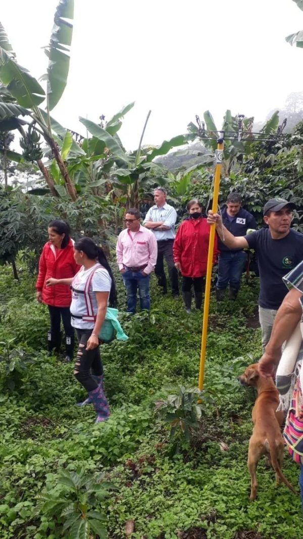 WhatsApp Image 2024-12-05 at 3.27.28 PM EMBOLSADORA DE PLATANO Y BANANO